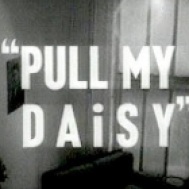 pull my daisy movie Factory